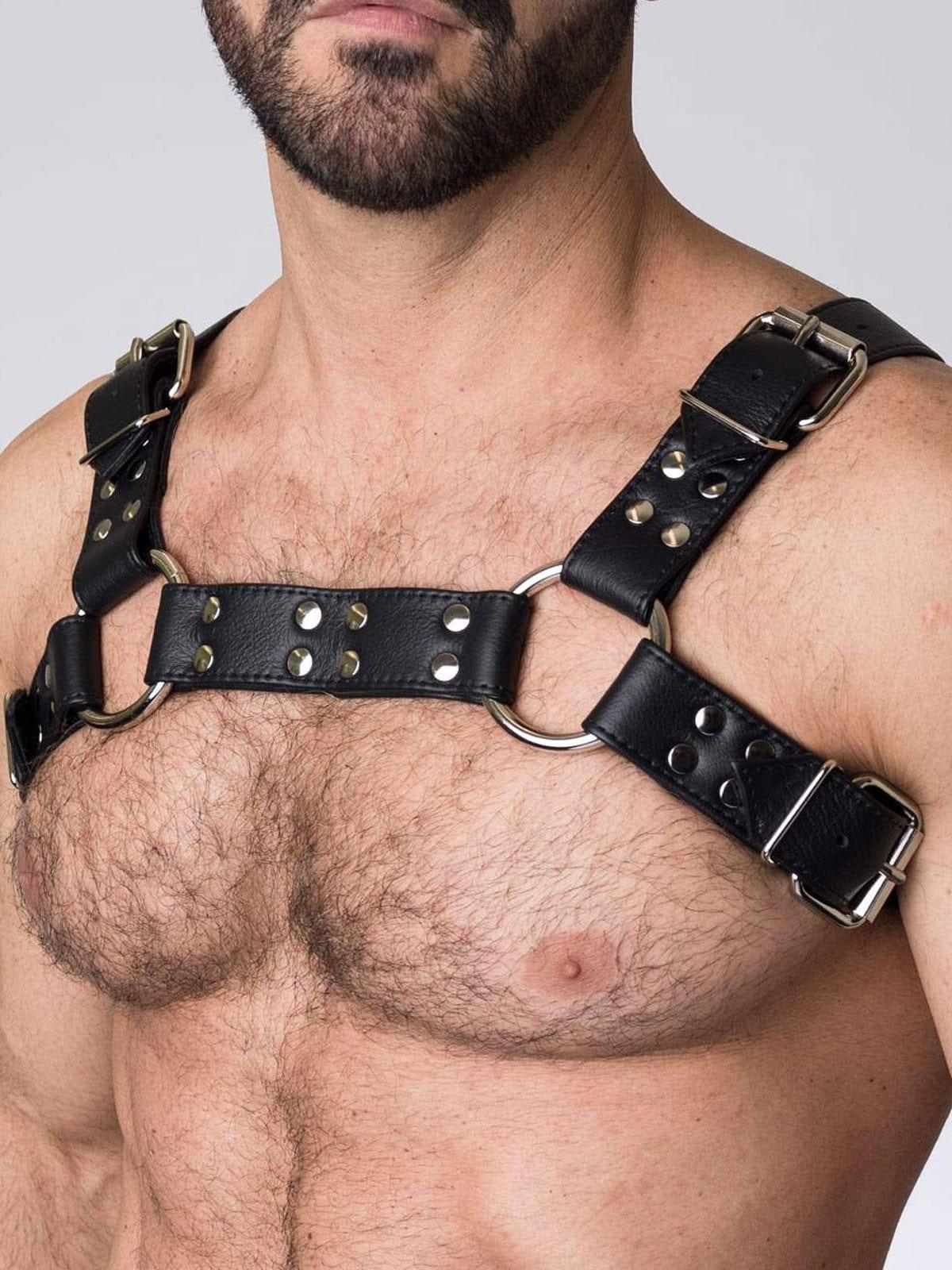 BUCKLE BULLDOG HARNESS - FullKit.com