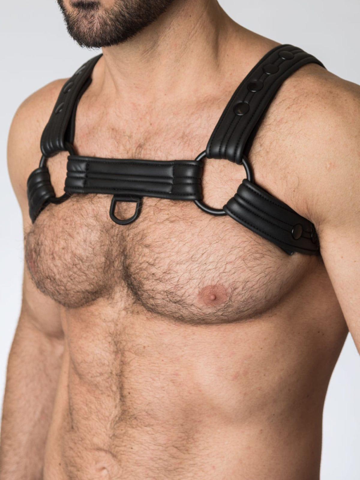 NEO BULLDOG HARNESS - FullKit.com