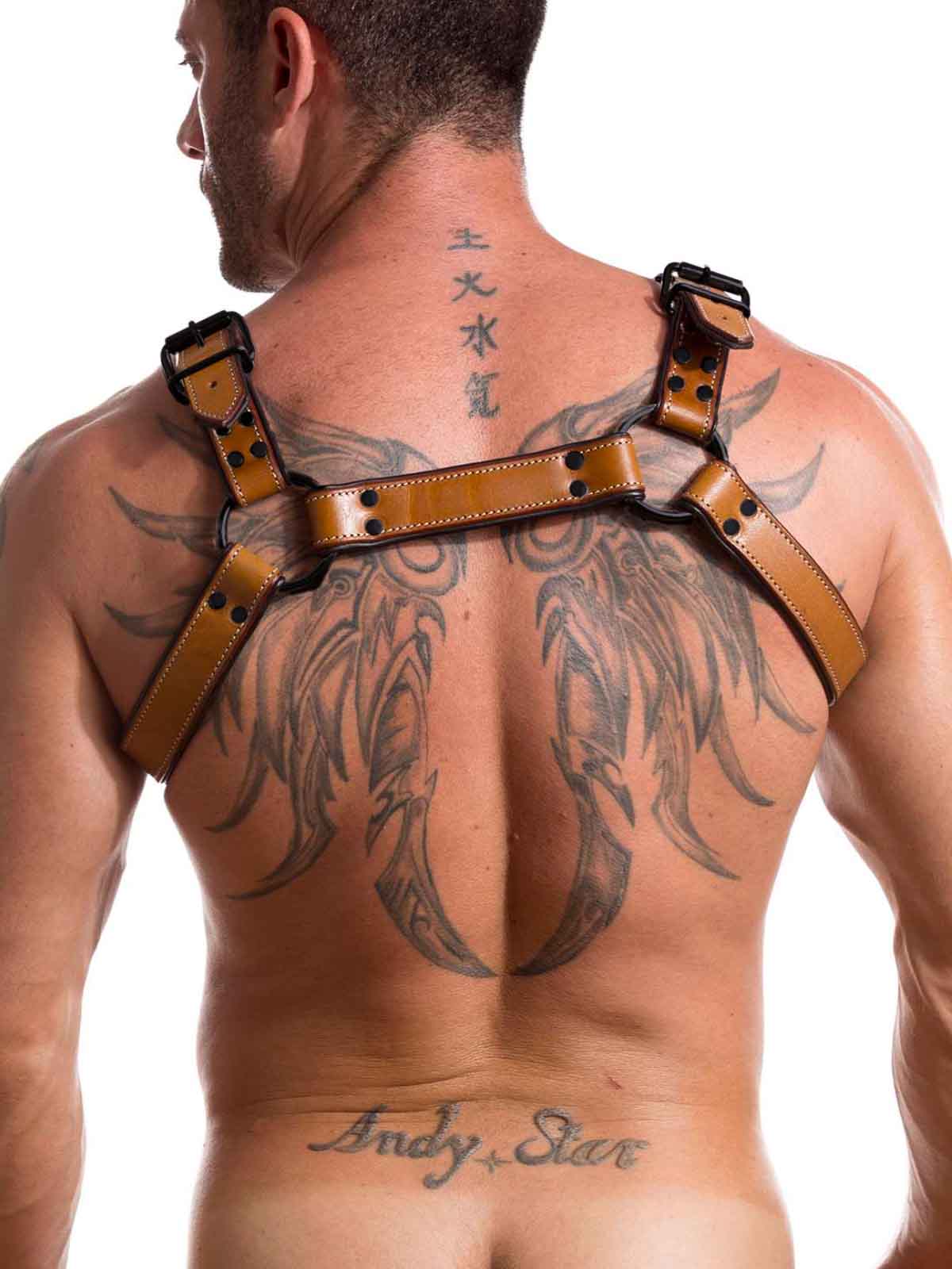 BUCKLE BULLDOG HARNESS SADDLE BROWN - FullKit.com