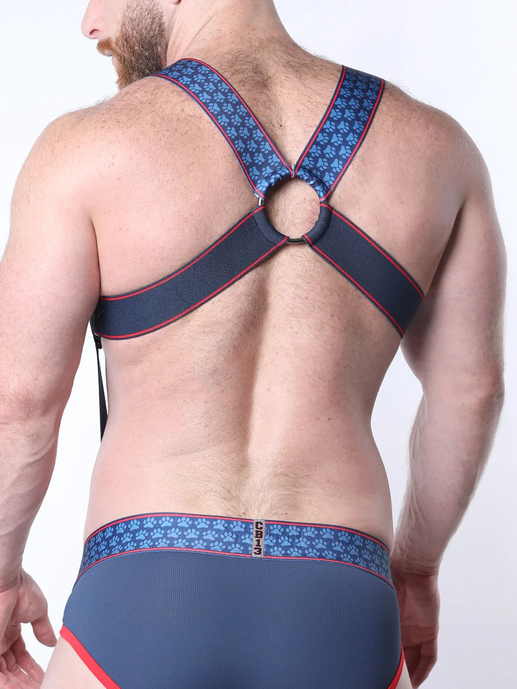 Cellblock13 Muzzle Up Harness Blue - Fullkit.com