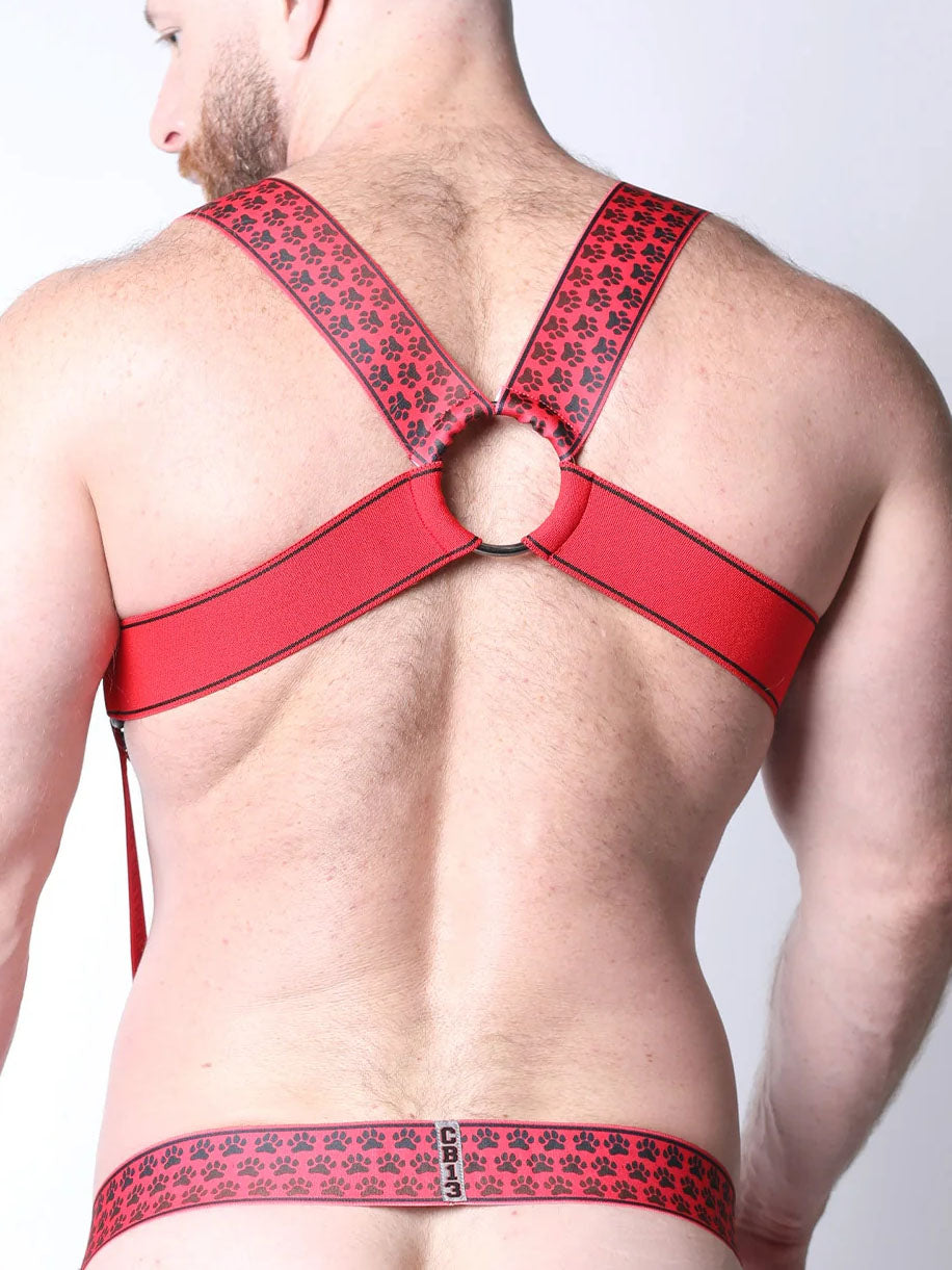 CELLBLOCK13 MUZZLE UP HARNESS