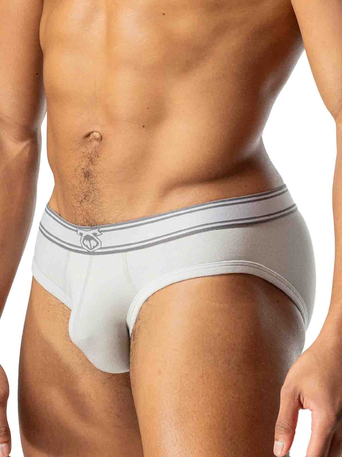 NASTY PIG CORE Y-FRONT BRIEF MIRAGE GREY CASTLEROCK  - FullKit.com