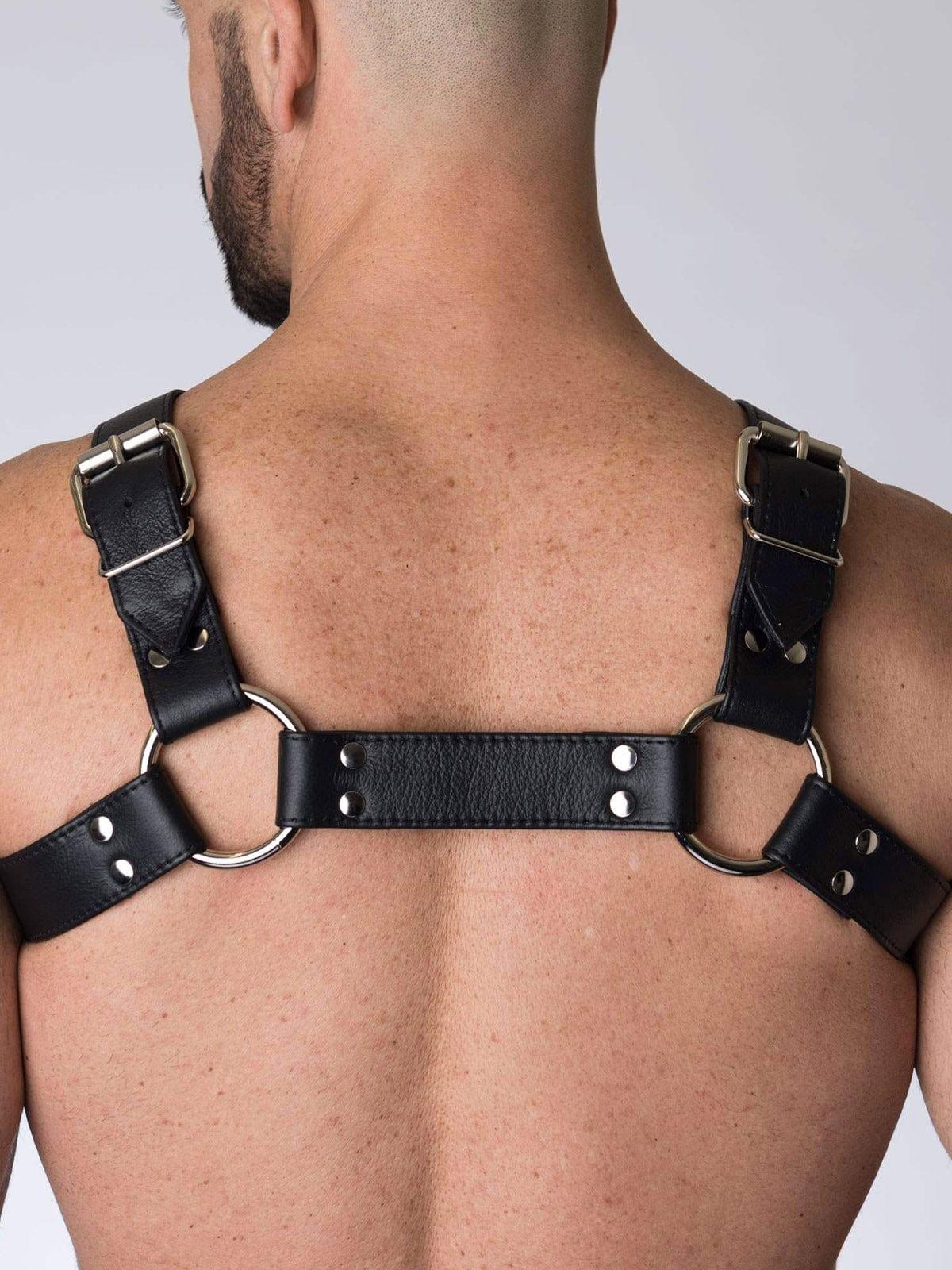 BUCKLE BULLDOG HARNESS - FullKit.com