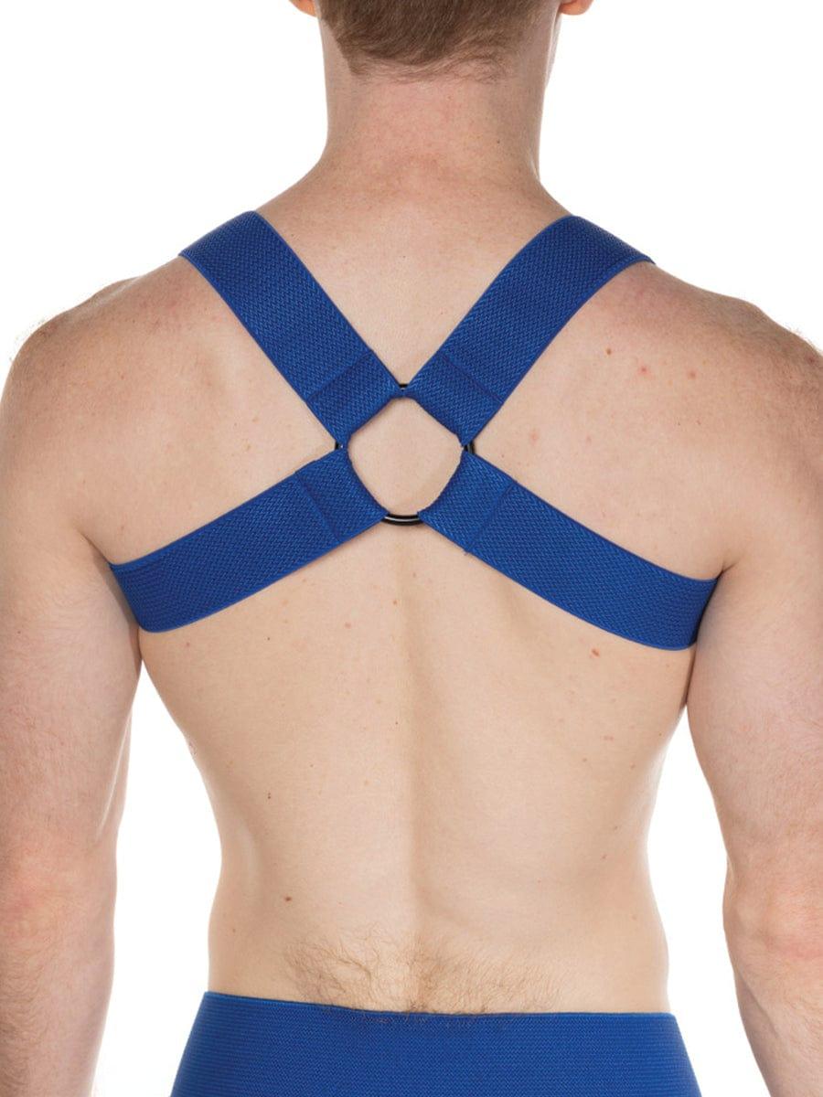 FK SPORT CHEVRON HARNESS ROYAL BLUE - FullKit.com