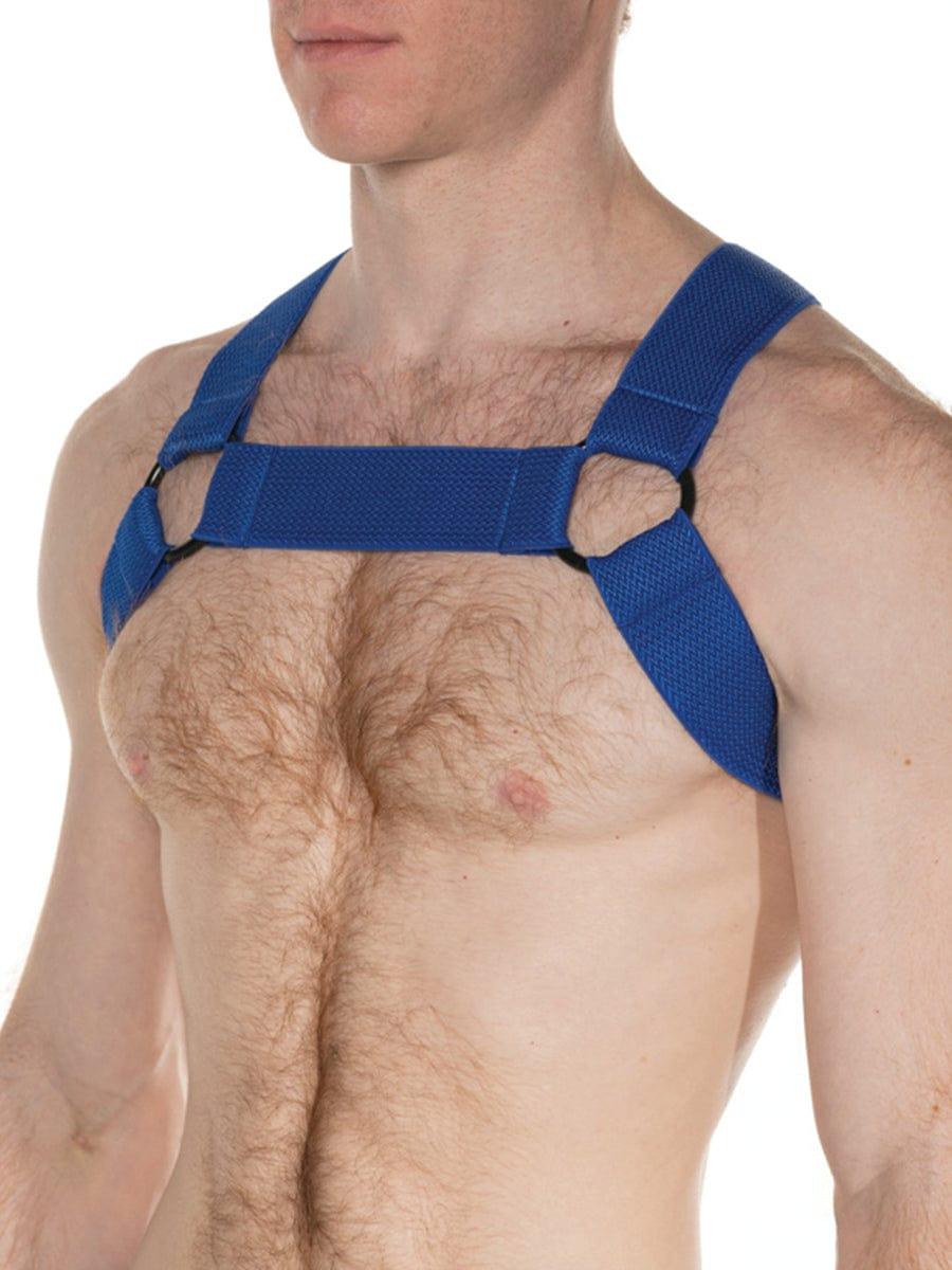 FK SPORT CHEVRON HARNESS ROYAL BLUE - FullKit.com